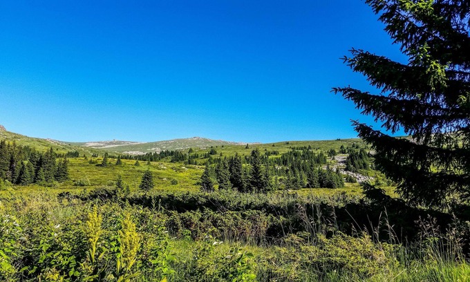 Vitosha District House | Mountain Lodge Suite With Mesmerizing View