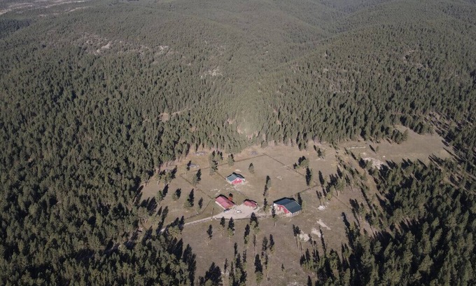 Golden Valley County Cabin | Mountain log cabin, horse barn/fenced paddocks.Hunting, hiking,horseback riding