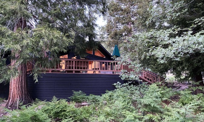 Fern Valley Cabin | Mountain mod cabin w/EV charging - Fernwood