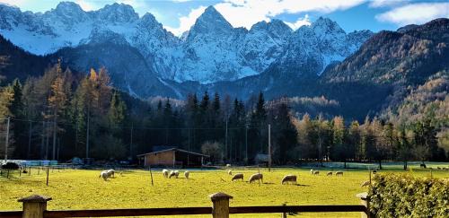 Gozd Martuljek Apartment | Mountain peaks Apartment with Sauna