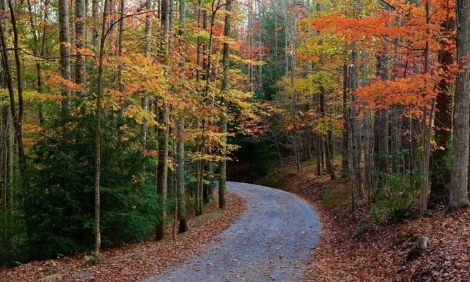 Lost River House | Mountain retreat! MODERN HOUSE 2 hours from DC