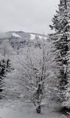 Stoneham House | Mountain view chalet avec vue sur la montagne