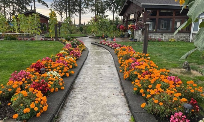 Pitt Meadows House | Mountain View Farm Experience!