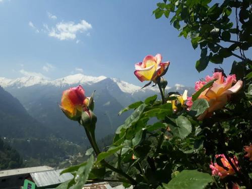 Tosh House | Mountain View guesthouses &cafe