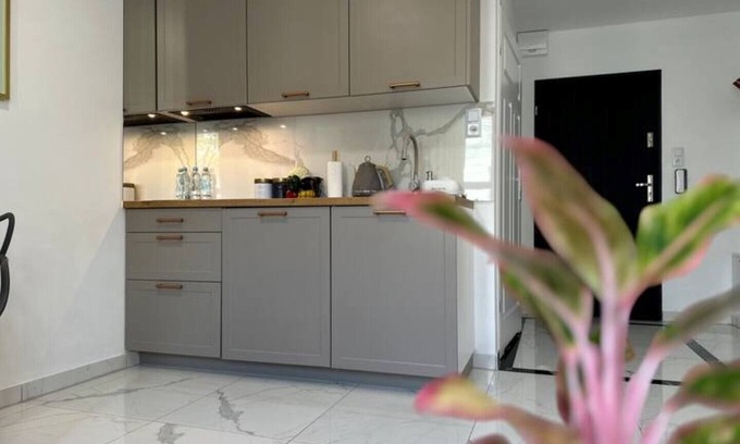 Psie Pole Apartment | Moveen! Stylish Urban Oasis