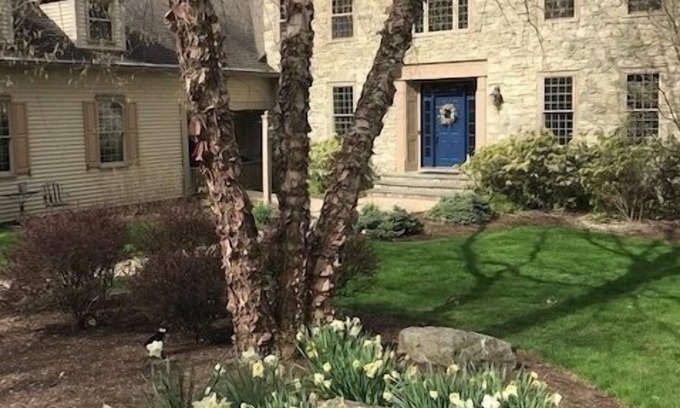 Fleming House | Mt. Nittany Hideaway - beautiful and spacious home