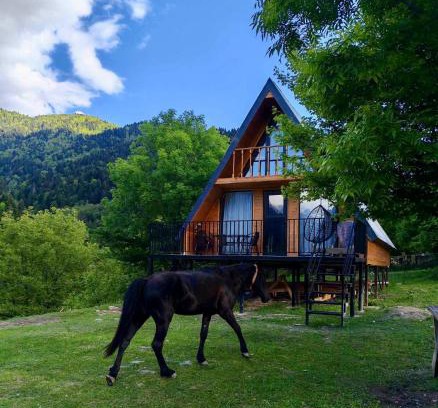 Racha-Lechkhumi and Lower Svaneti House | Mtiskari cottage in Utsera