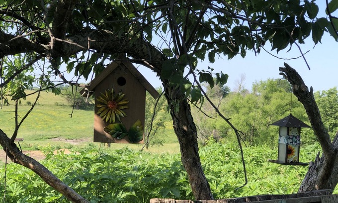 Warren County Cottage | Mulberry Cottage Farm-Stay. A unique farm-stay in Southern Iowa
