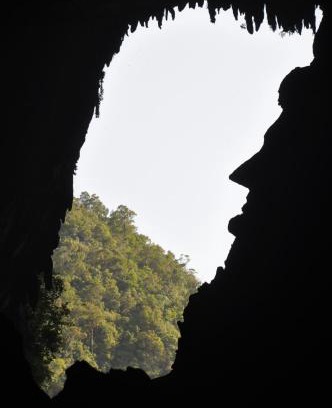 Mulu Hotel | Mulu National Park