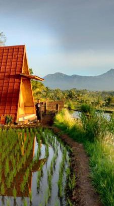 Kecamatan Montong Gading House | Muni's Terrace Bungalow