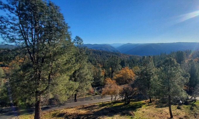 Forest Meadows House | Murphys Sunrise Cottage private and peaceful with breathtaking views.