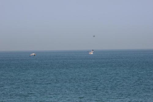 Azaiba House | Muscat beach Guest House Room 03