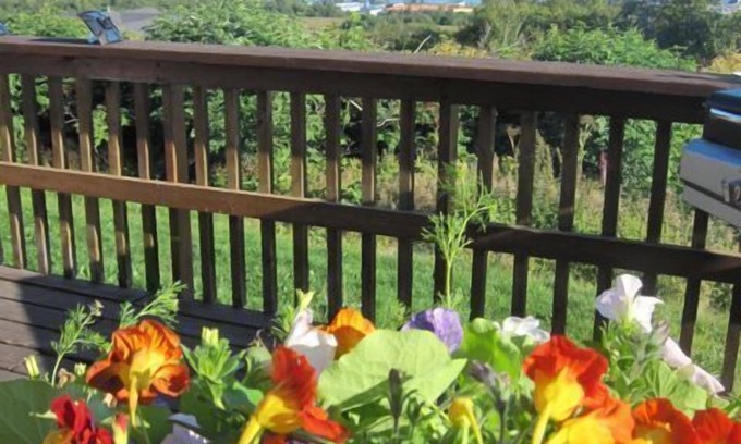 Kachemak House | Musician's Paradise With Spectacular Views