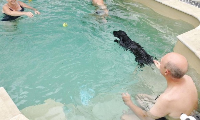 Rutherglen Cottage | must love dogs cottage
