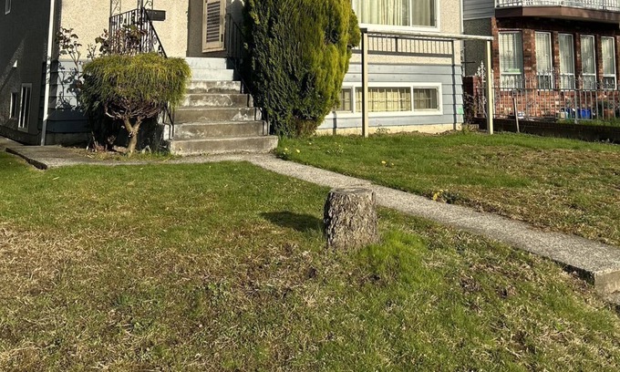 Renfrew-Collingwood House | My lovely great location house