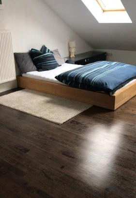 Erlenstegen Apartment | Nürnberg Erlenstegen - Zimmer mit Bad 35 qm mit Parkplatz