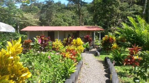 Bijagua Cabin | Nacientes Lodge