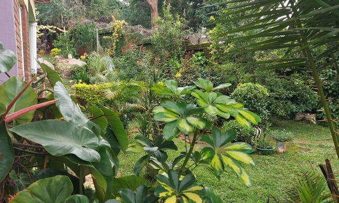 Zomba House | Naisi Spur