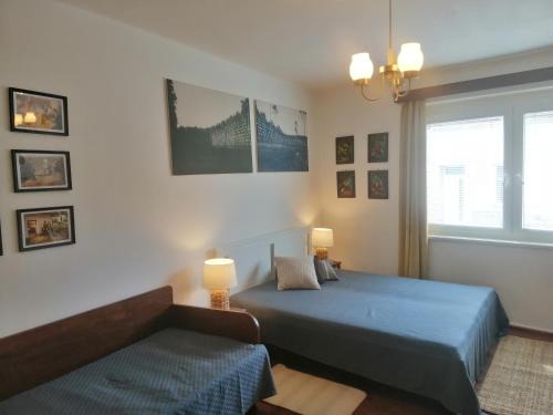 Vacenovice Apartment | NaKonci