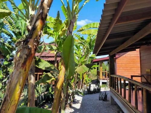 Thakhek Hotel | Nana Bungalows