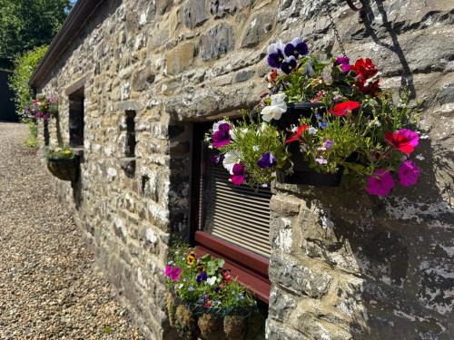 Llandyssiliogogo House | Nanternis Farm