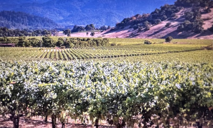 Napa Resort | Napa, CA Sept 14-18, 2023 offers an on-site Golf, Wineries, Spa, Pool.