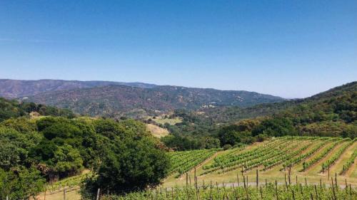Napa House | Napa Vineyard with Stunning Views By Allevo Homes