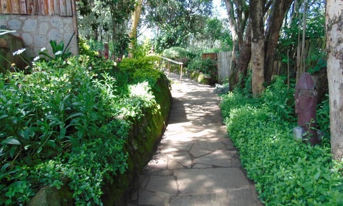 Naro Moru Hotel | Naro Moru River Lodge