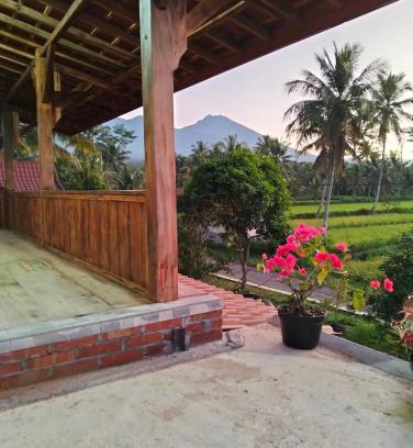 Kecamatan Montong Gading House | Nataqueen Bungalows