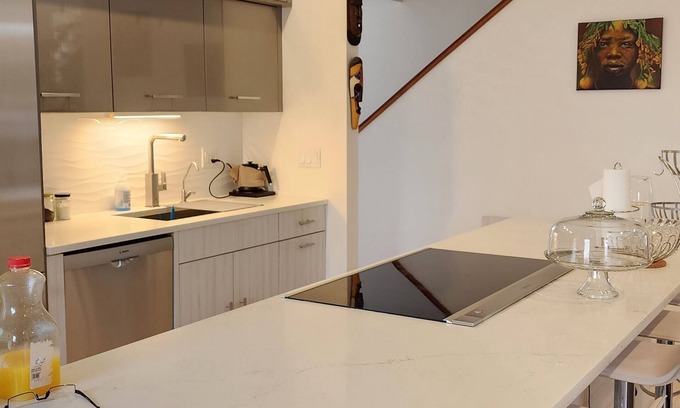 Washington Park Condo | Natural-Woods Luxury-condo 2Bdrm/sound proof &Fitness Eqp. Boston