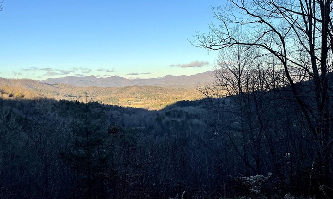 Franklin House | Nature and Bird Lover's Paradise;