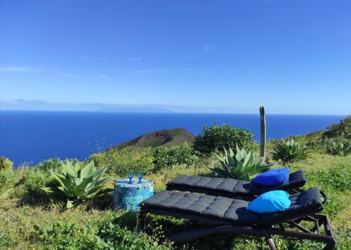 Malpaises Apartment | Nature Finca Apartment - Pure Relaxation