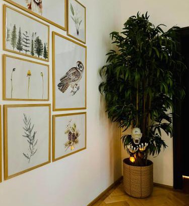 Brasov City Centre Apartment | Nature-Inspired Stay in Piata Sfatului Brasov