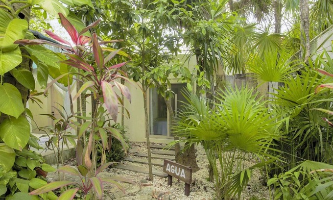 Alfredo V. Bonfil Bed & Breakfast | Nature Retreat l Jungle Hotel in Quintana Roo