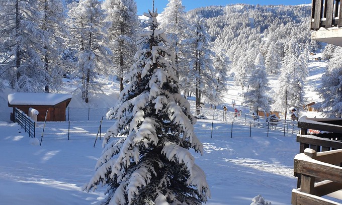 Risoul Apartment | NATURE - SNOW FRONT - CALM - FRIENDLY TEAM - VERY GOOD STAY ASSURED