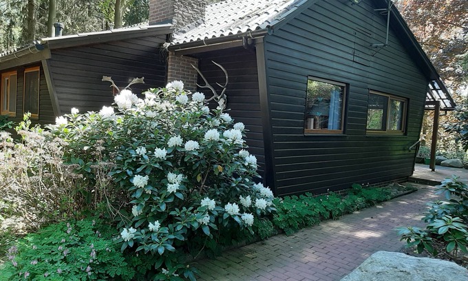 Brockel Cabin | Nature vacation on 23000 m² natural site