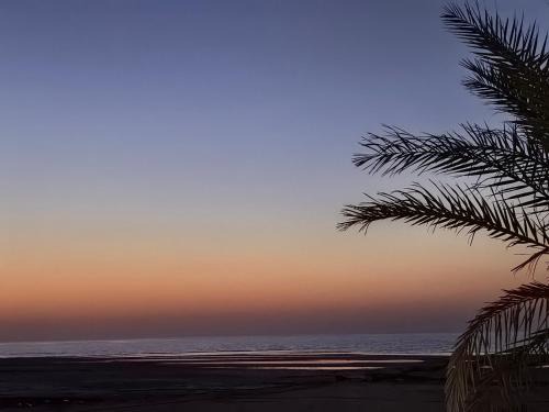 Al Gharbia Villa | NatureLand Beach Villa
