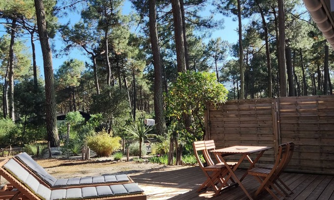 Grayan-Et-L'Hopital Ski Chalet | NATURIST STUDIO RENTAL