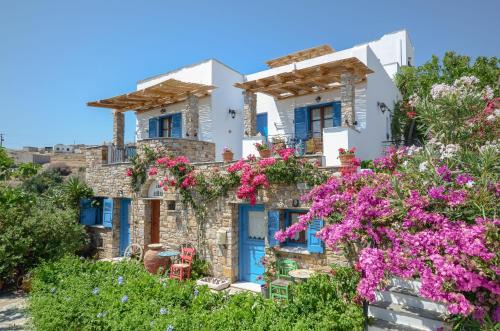 Galini Apartment | Naxos Filoxenia Hotel