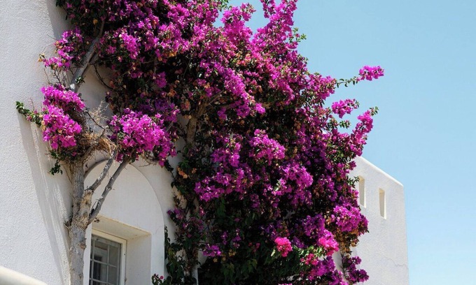 Kastraki House | Naxos Kastraki Homey Villa with Sea View