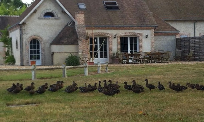 Villeherviers Cottage | near Loire valley very comfortable house in front of a private river, calm place