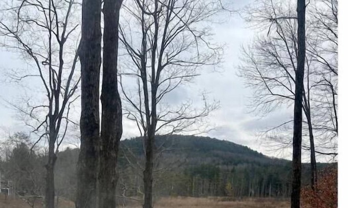 Canaan House | Near Skiing! Hot Tub, Wood Stove, Pool Table, & Theater Room. Pet friendly!