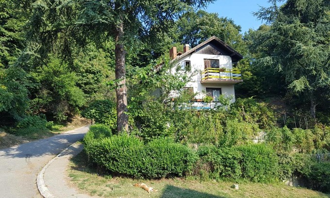 Donji Milanovac House | Nena & Rale Rooms