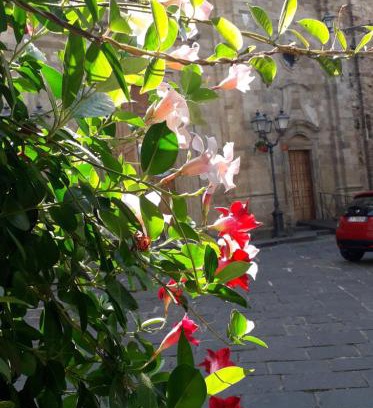 Guglionesi Bed & Breakfast | Nenet