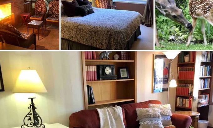 London Apartment | Nestled in nature; 2BD apt. in artist & writer's home