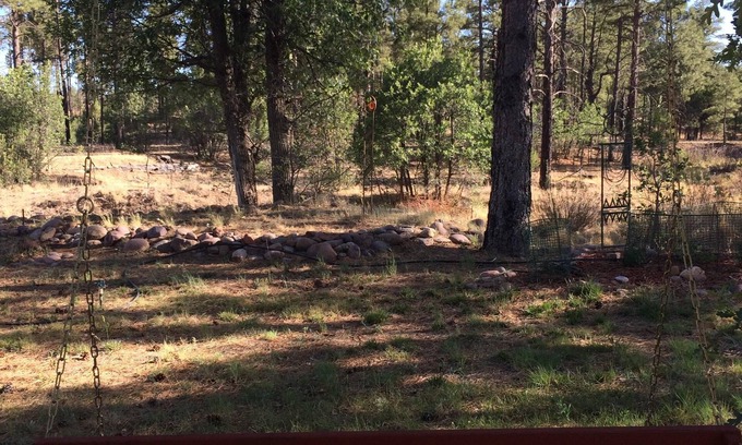 Clay Springs Apartment | New! Artistic Studio Retreat that is Quiet & Relaxing, Bordering National Fores