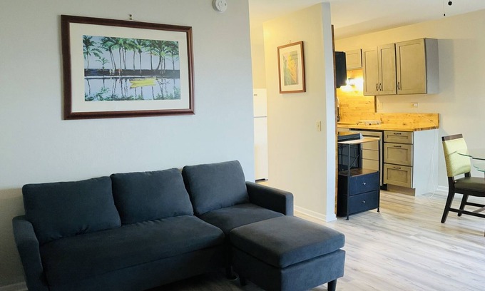 Hilo House | New, beautifully remodeled and tastefully furnished downtown Hilo apt