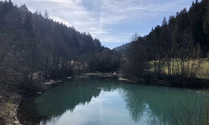 Klosterreichenbach Apartment | New building - apartment with panoramic views