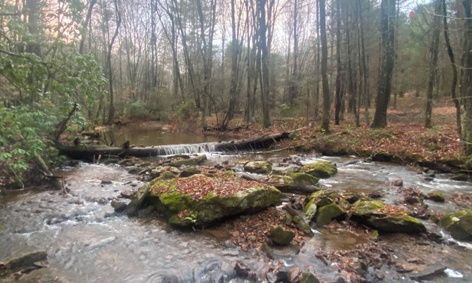 Roseland Cabin | New cabin 1 mile from Blue Ridge Parkway. Minutes from Appalachian Trailnnnnn