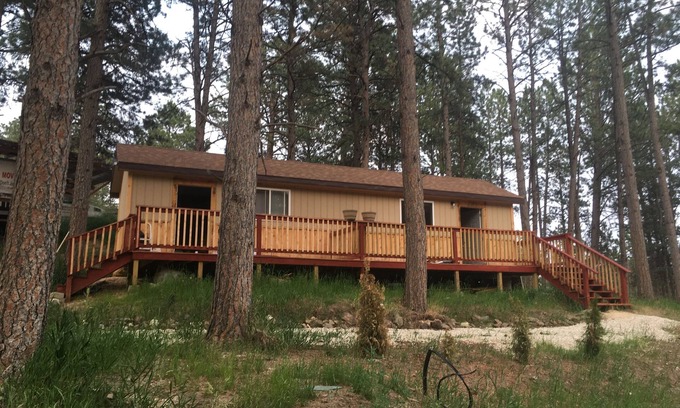 Custer Cabin | New cabin 1 with rent a car available. In the forest, hills, fresh air! Super.